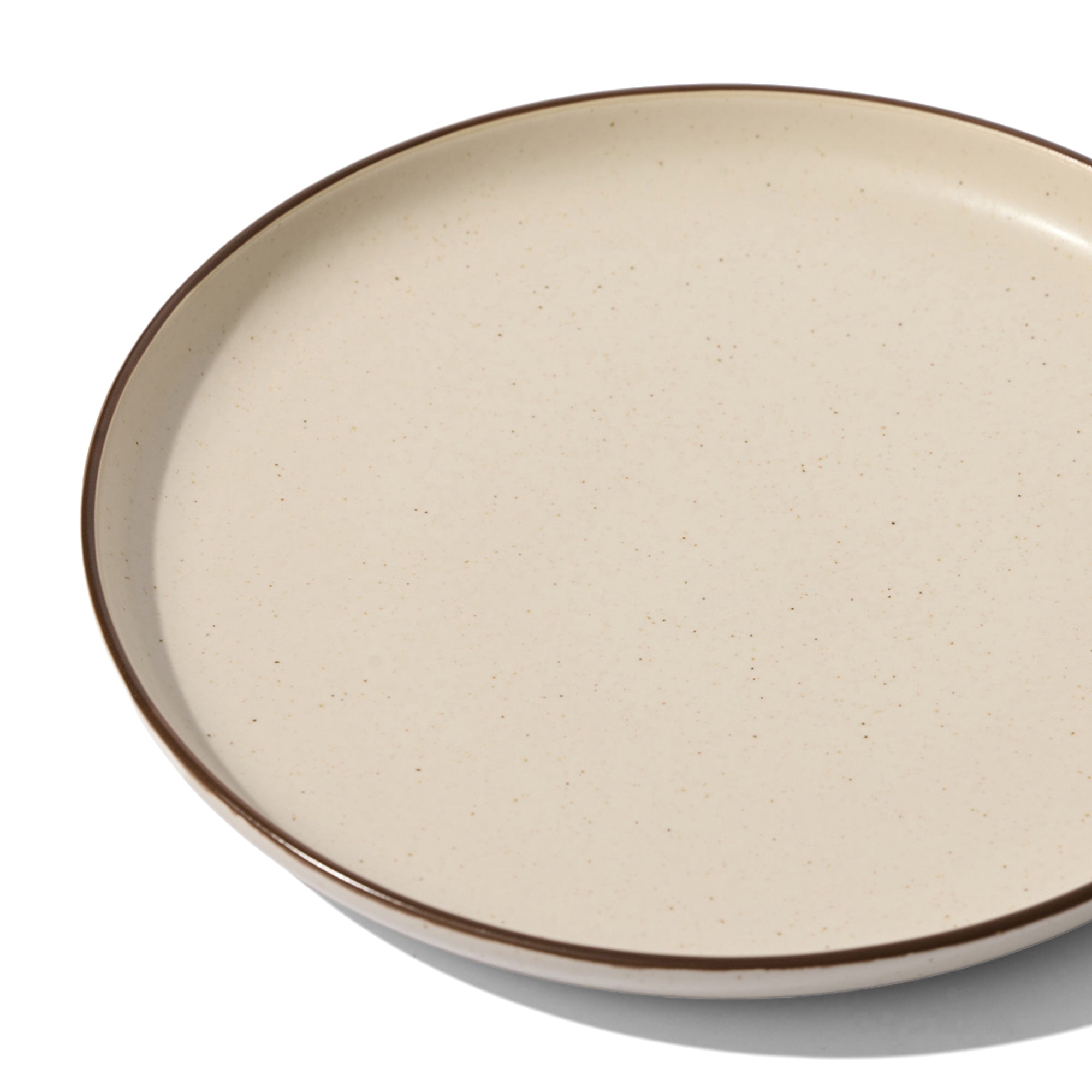 Pacifica Dinner Plate in Monterosa
