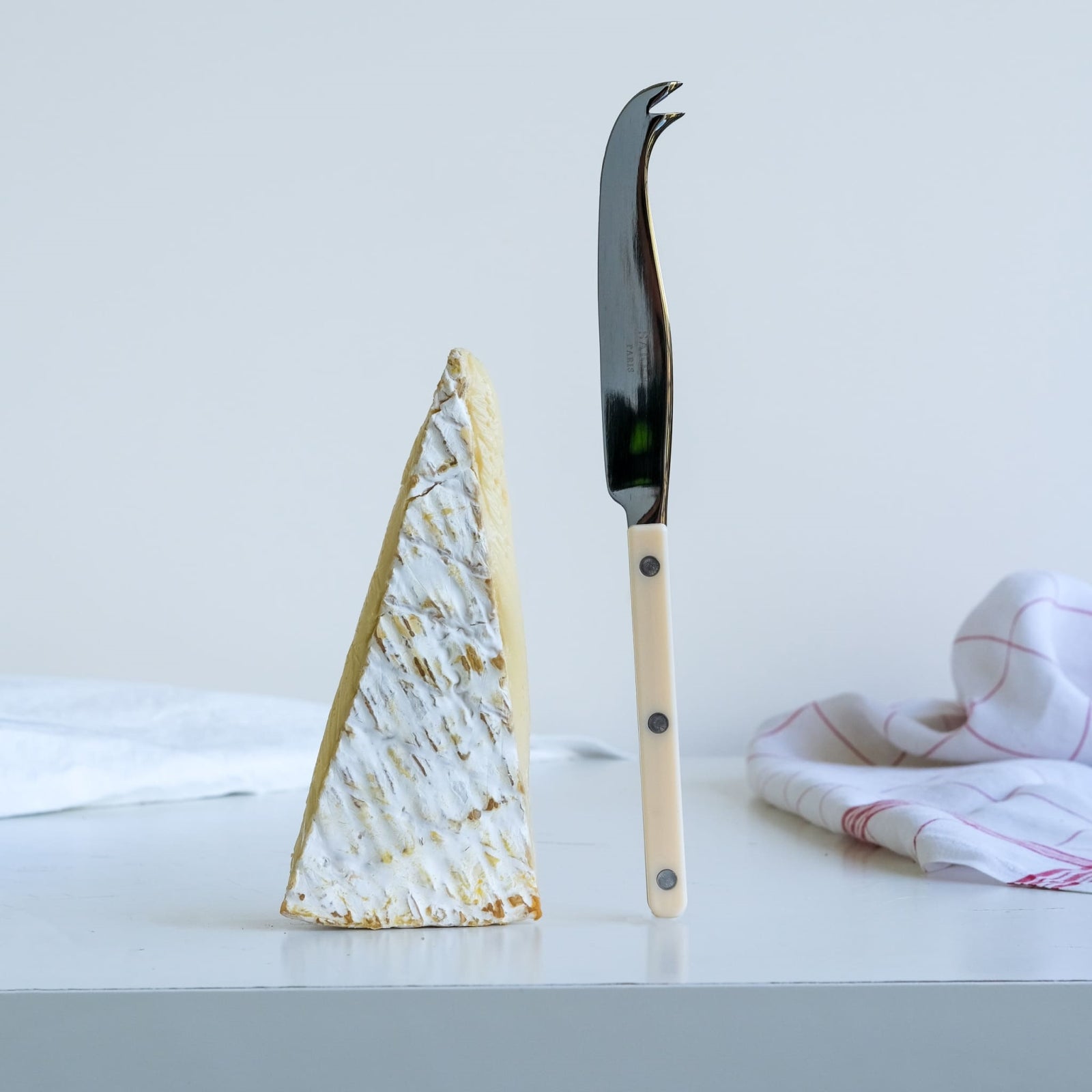 Bistrot Solid Cheese Knife Large in Ivory