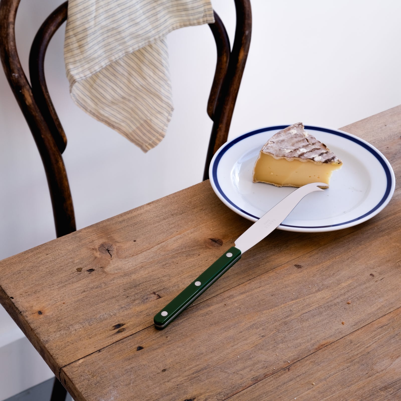 Bistrot Solid Cheese Knife Large in Green Fern